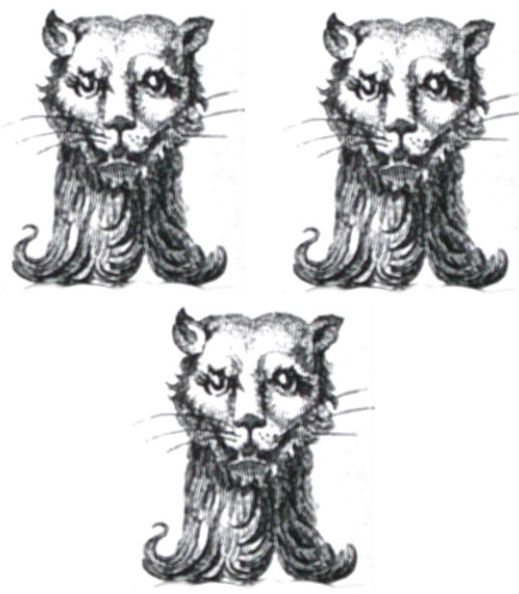 cats heads (3)