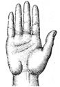 hand