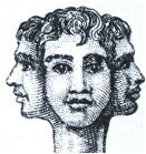 heads (3)