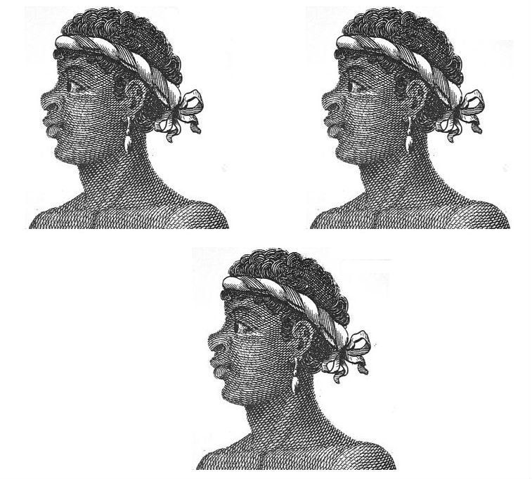 heads, moors (3)