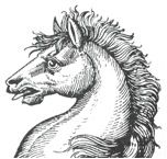 horse's head