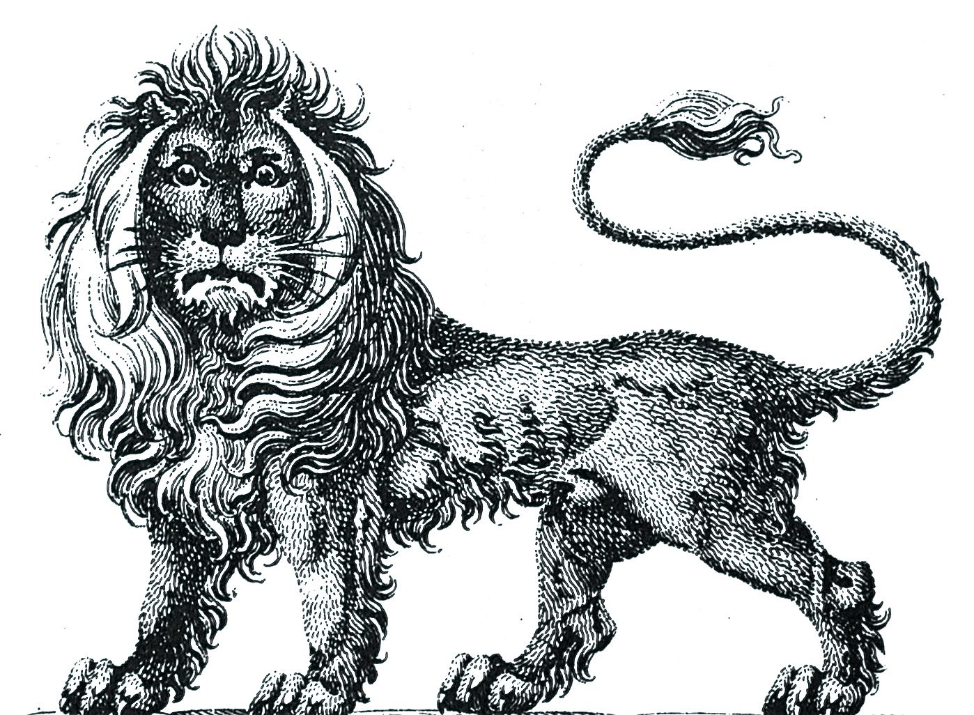 lion statant gardant