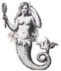 mermaid