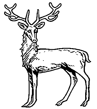 stag at gaze