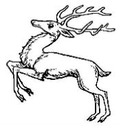 stag salient