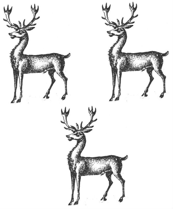 bucks (3)