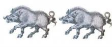 boars (2)