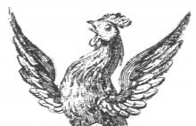 cock's head and wings