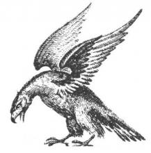 eagle wings elevated