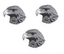 hawks heads (3)