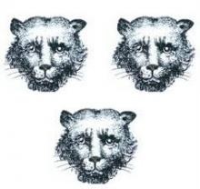 leopards faces (3)