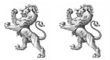 lions rampant (2)