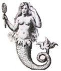 mermaid