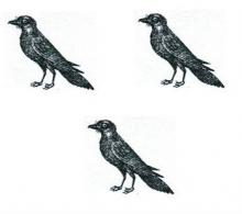 ravens (3)