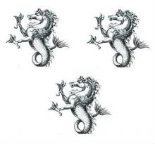 sea horses (3)