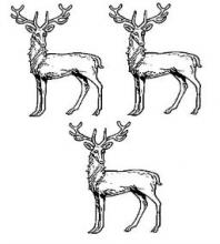 stags at gaze (3)