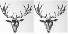 stags heads caboshed (2)