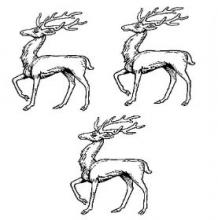 stags trippant (3)