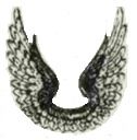 wings (2)